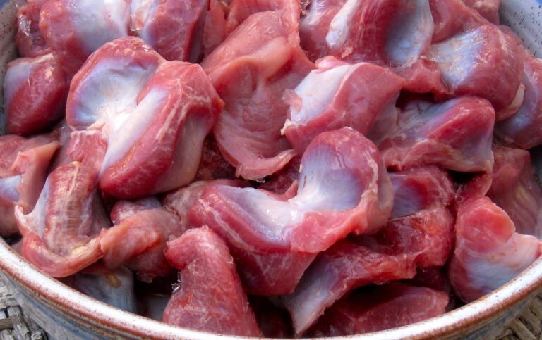 Frozen-chicken-gizzard_1