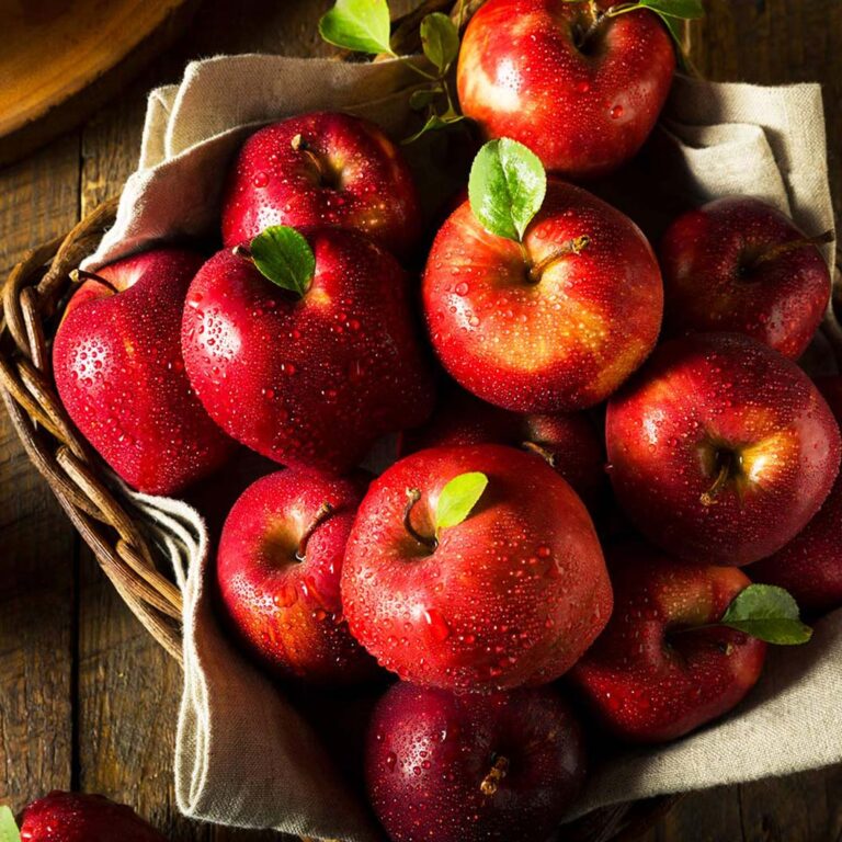 Red_Delicious_Apple_2_52d07900-fcad-4721-8a49-0027de784e8f